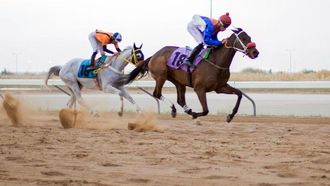 ميدان الملك سعود للفروسية بالقصيم يستضيف السباق الثامن عشر