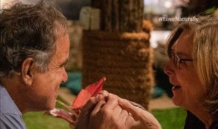 Romantic Valentine's Day Activities In Dubai