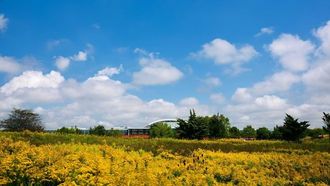 MillerKnoll's Bold Sustainability Strategy For Furniture