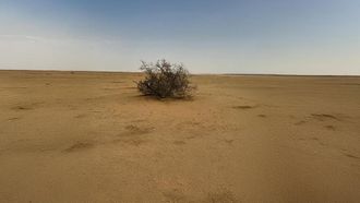 NCVC Initiates Vegetation Cover Assessment Project