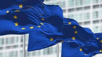 EU Commission Sues Seven Member States Over NPL Directive