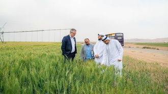 وزيرة الدنمارك تزور مزرعة القمح في الشارقة