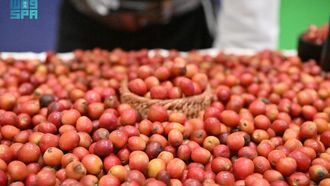 Saudi Coffee Exhibition Highlights Jazan's Heritage