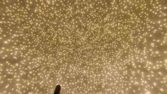 Opening Of TeamLab Phenomena Abu Dhabi Announced