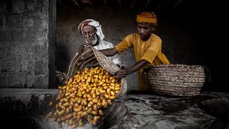 Xposure International Festival 2025 Begins February 20