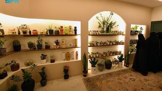 Cultural And Artistic Hub In Abha