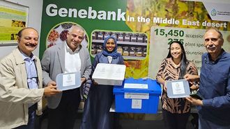 Emirati Seeds Enter Svalbard Global Seed Vault