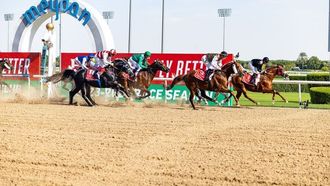 Explore The Dubai World Cup 2025: A Luxurious Affair