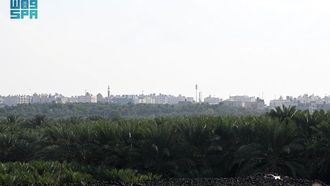 حسان بن ثابت: إرث شعري