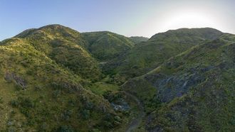 NCVC Celebrates International Day Of Forests