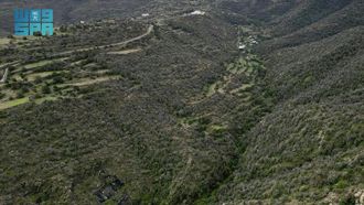 Saudi Arabia Marks International Day Of Forests
