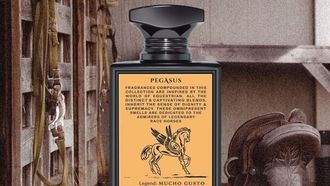 إطلاق عطر رويال أسكوت الفاخر