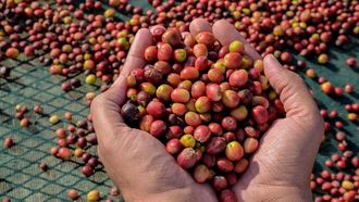 Shadawi Coffee's Role In Ramadan Traditions