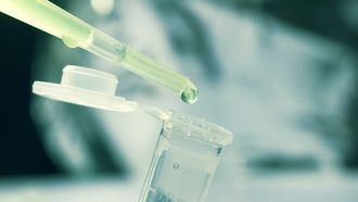 Stem Cell Therapy Improves Spinal Injury Recovery