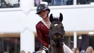 تقدم Temo معدات الفروسية بأسعار معقولة