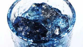 The Unusual Case Of Vitrified Brain Tissue