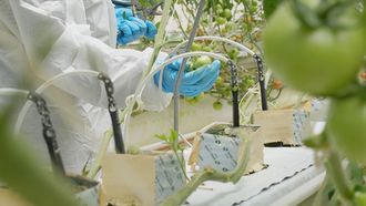 ADAFSA Promotes Water Conservation On World Water Day