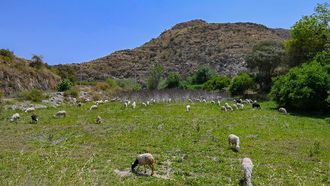 Al-Baha Valleys: A Natural Paradise