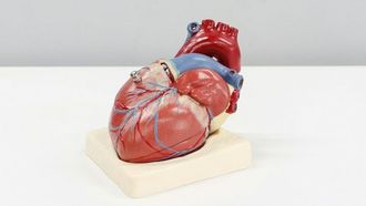 تطوير جهاز تنظيم ضربات القلب الجديد لعلاج أمراض القلب