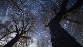 Celestial Highlights Of April 2025