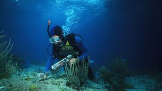 New Report On Coral Relocation In Arabian Gulf