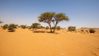 NCVC Launches Plan Against Desertification And Drought