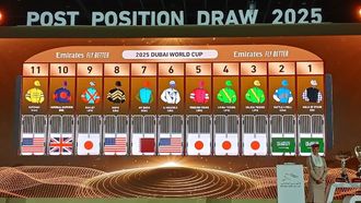 Thirteen Nations Compete In Dubai World Cup 2025