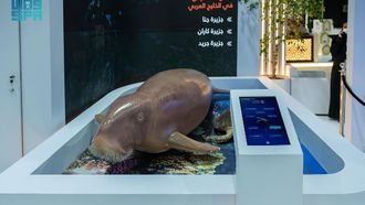 Dugong Protection In Saudi Arabia At Environment Week