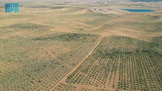 جهود الحد من العواصف الغبارية في المملكة العربية السعودية