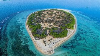 Saudi Arabia Marks Earth Day With Initiatives