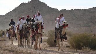 Eid Traditions Celebrated By Camel Riders In Tabuk
