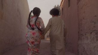 الاحتفال بمرور 10 أعوام على مبادرة الإمارات