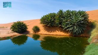 انضمام الحدائق الجيولوجية في المملكة العربية السعودية إلى شبكة اليونسكو