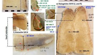Saudi Arabia's Ancient Green Oasis Revealed