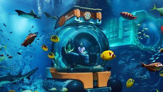 New SeaSub Experience At SeaWorld Abu Dhabi