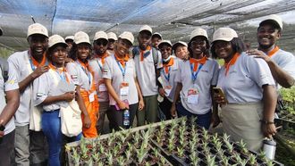 UAE And Brazil Partner For Agricultural Training