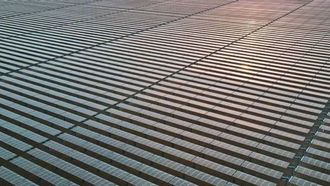 الإمارات العربية المتحدة رائدة في مبادرات حماية البيئة