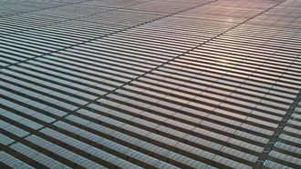 UAE Enhances Environmental Leadership On Earth Day