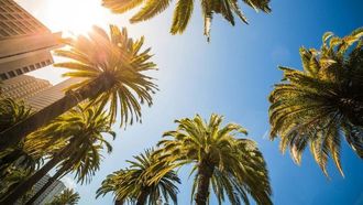 UAE Weather: NCM Forecasts Warmer Thursday