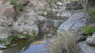 Aseer’s Ancient Dams And Community Spirit