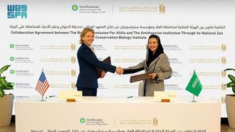 العلا ومؤسسة سميثسونيان تتعاونان لحماية النمر