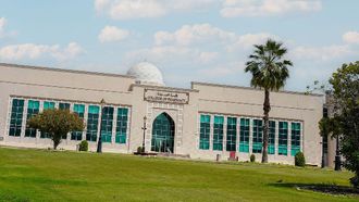 Statins May Boost Blood Cancer Survival Rates