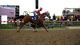 Diamond Gem AA Wins At UAE President~~s Cup