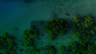 EAD Launches New Environmental Emergency Regulation