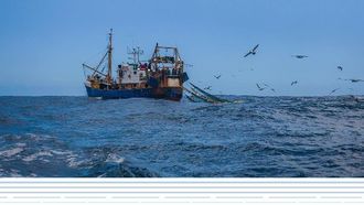 المملكة العربية السعودية تنضم إلى اتفاقية منظمة الأغذية والزراعة بشأن الصيد