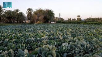 Boosting Crop Production With Innovative Farming