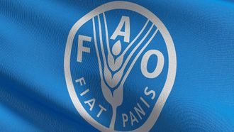 FAO Predicts Record Rice Output For 2024/25