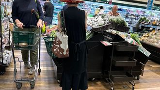 Japan's GDP Declines Amid Weak Spending