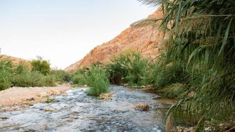 أزمة المياه في مجتمعات وادي الأردن