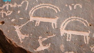 New Insights On Large Mammals In Arabia